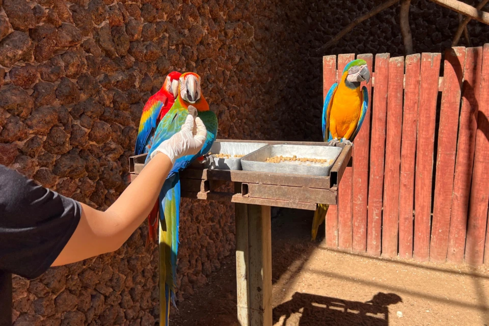 Animais do Zoológico de Goiânia recebem cuidados especiais durante mudanças de temperatura
