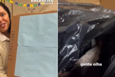 Vereadora defensora da causa animal recebe caixa com cachorro morto vídeo Embalagem trazia mensagem sobre proteção animal