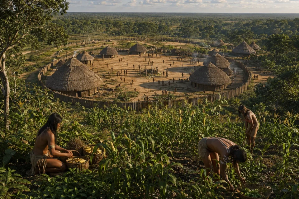 Reconstituição artística mostra uma grande aldeia indígena no Cerrado, onde o cultivo diversificado do milho ajudava a sustentar comunidades numerosas há cerca de mil anos, segundo estudo publicado na revista Science Advances.
Crédito: Imagem ilustrativa gerada por inteligência artificial com base nas evidências arqueológicas descritas no estudo publicado na Science Advances.