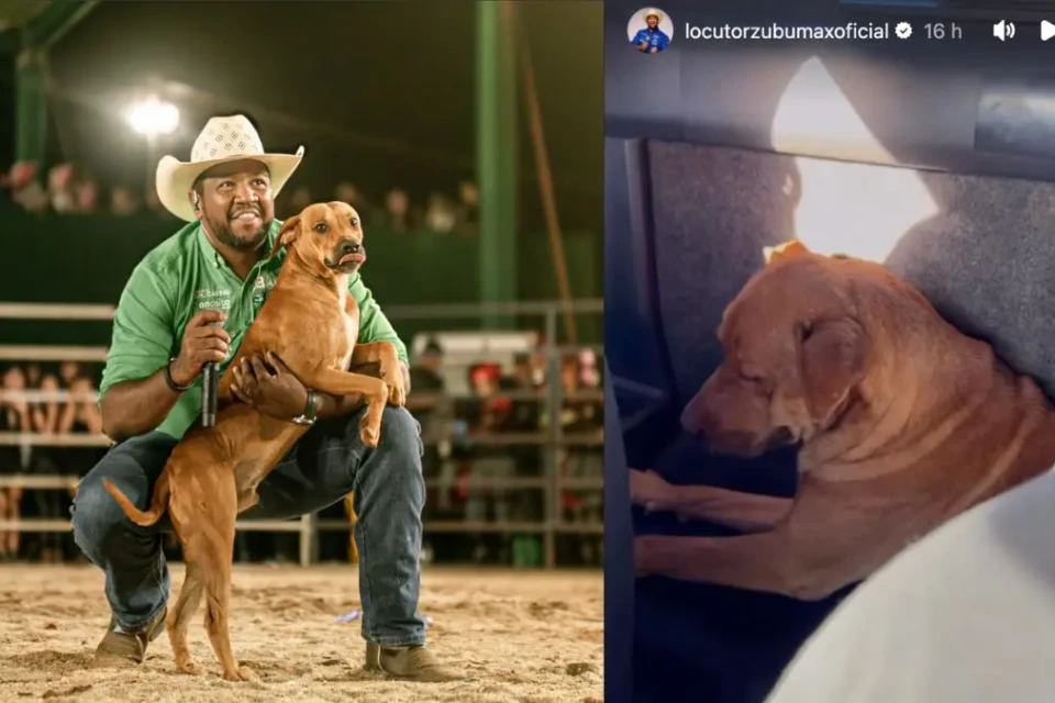 Locutor do rodeio adotou o cão caramelo que invadiu a arena em Rialma (Foto: Reprodução)