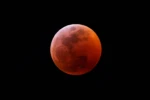 Brasil inteiro poderá ver eclipse lunar em agosto; saiba quando observar Veja o horário e detalhes do fenômeno que acontece no fim do mês