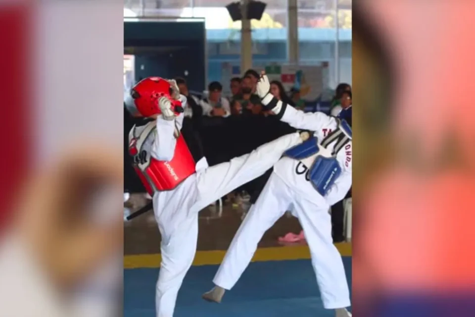 Atleta Sophia Moraes, de 17 anos, venceu a categoria juvenil de taekwondo em Goiás (Foto: Arquivo pessoal)