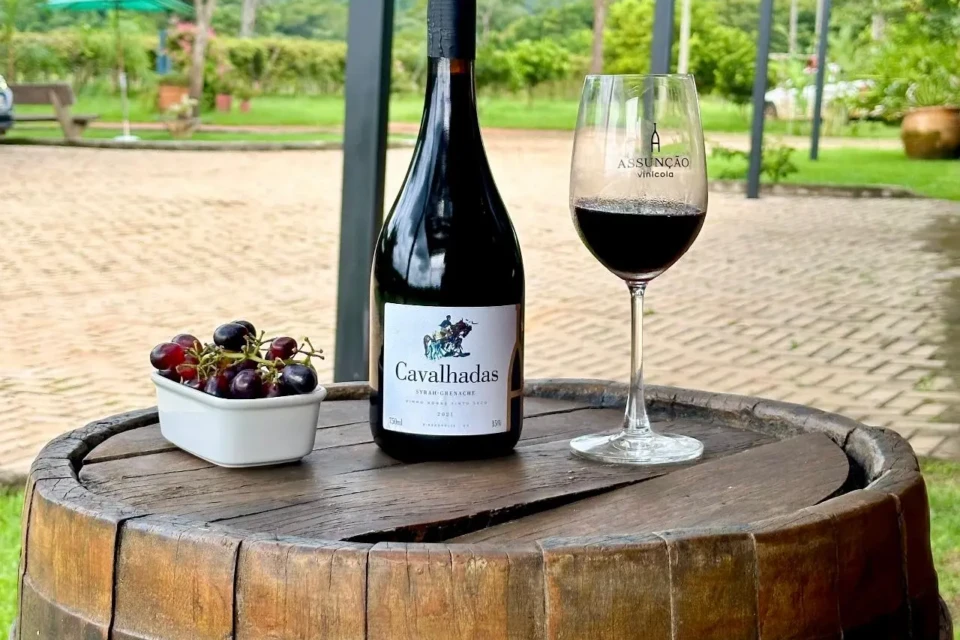 Vinícolas em Goiás: descubra onde viver experiências únicas no Cerrado Confira a lista com 15 vinícolas em Goiás organizadas por região