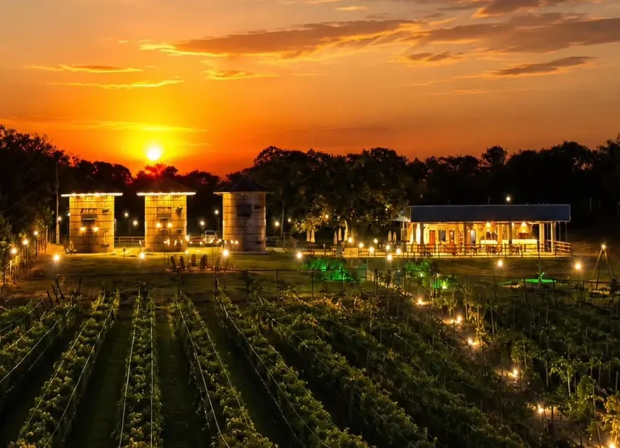 Pôr do sol na Vinícola Paraíso em Pirenópolis, que recebe Festival Pitoresca 2026
