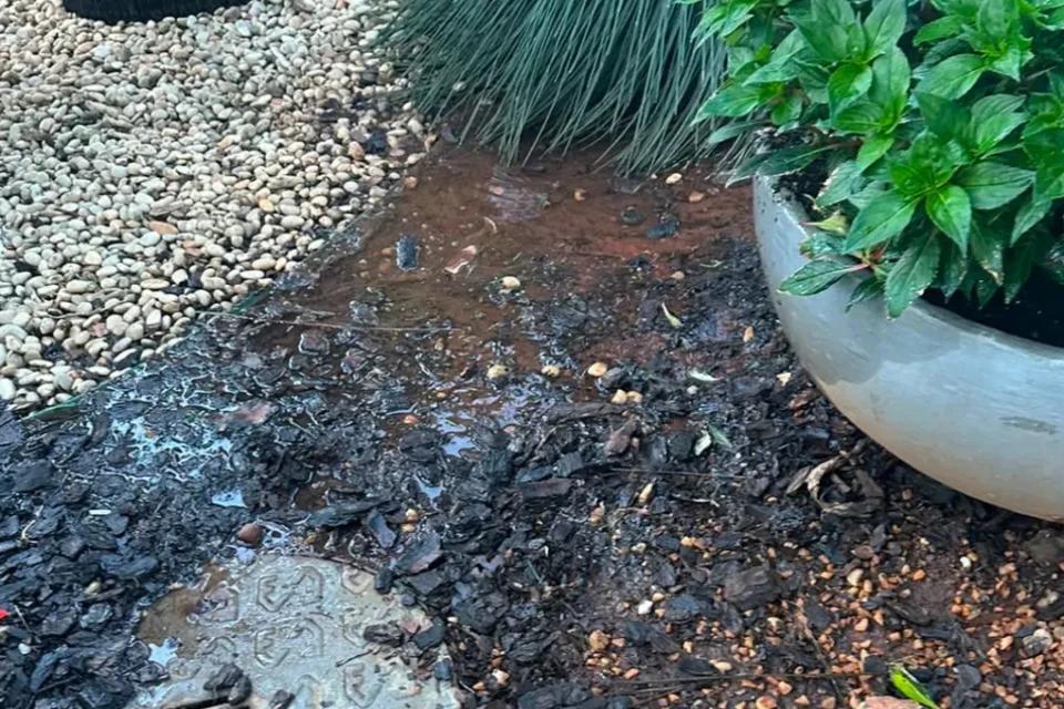 Moradores acusam síndica de encharcar jardim e desperdiçar água para afastar pets, em Goiânia (Foto: cedida ao Mais Goiás)