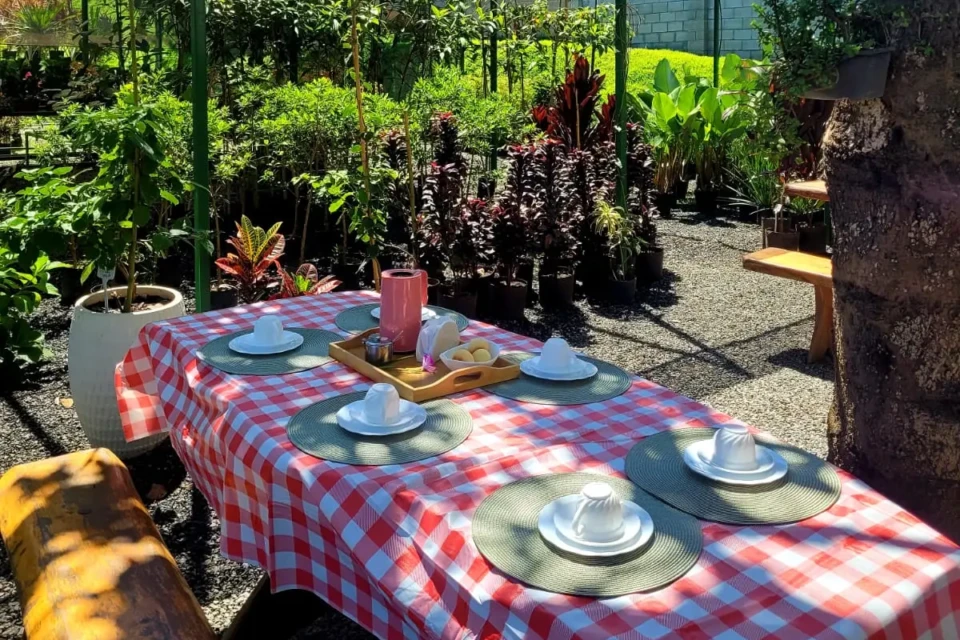 Viveiro Tio Zé oferece café da manhã em estilo buffet aos domingos