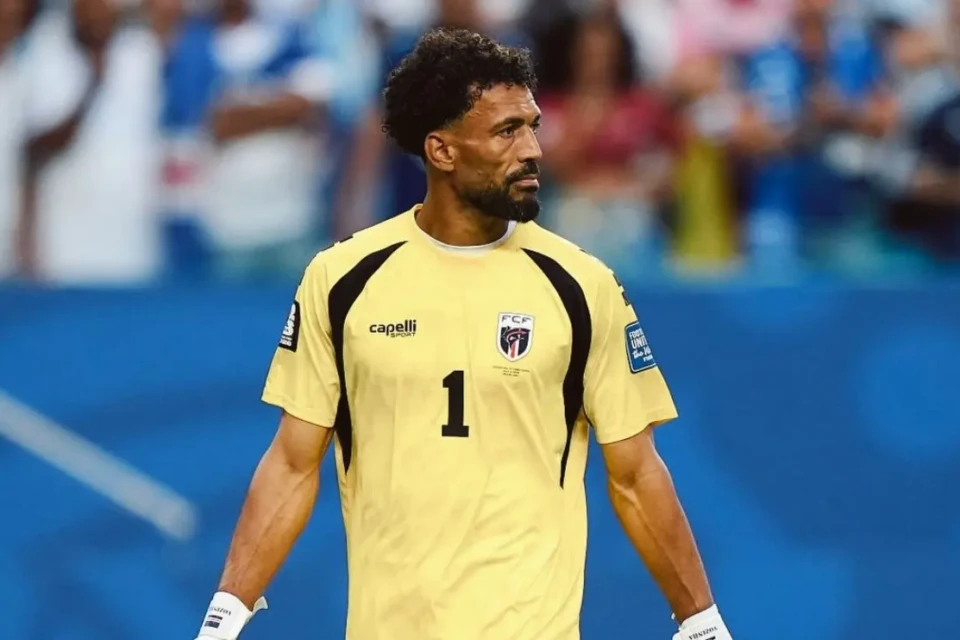 Vozinha em partida da Copa do Mundo