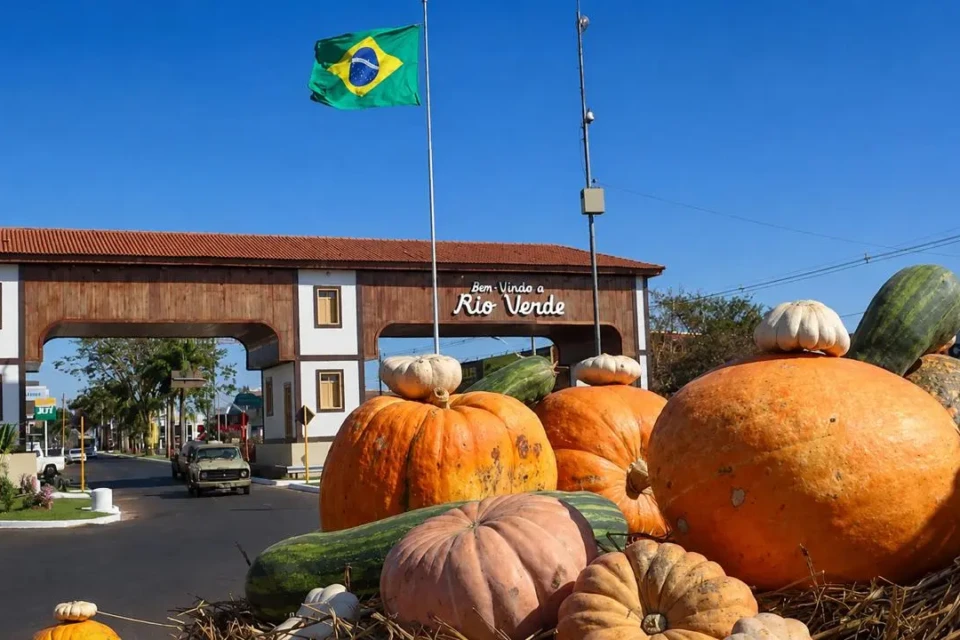Abóboras gigantes são colhidas para decorar cidade de Rio Verde durante celebração dos 178 anos do município, em agosto (Foto: Prefeitura de Rio Verde)