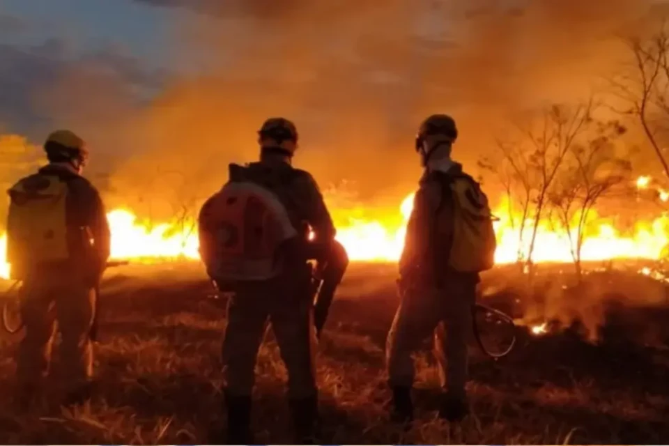 Bombeiros combatendo incêndios - (Foto: reprodução)