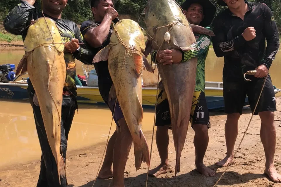 Pescadores fisgam peixe de 68 quilos e vídeo do gigante impressiona os fãs de pescaria esportiva; peixe é um dos mais cobiçados