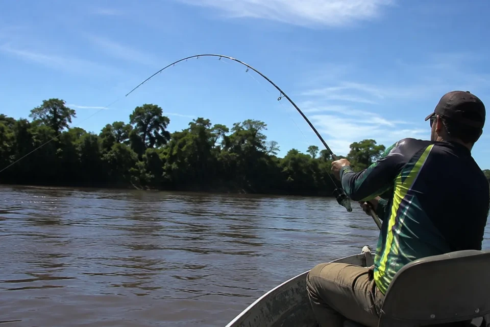 Pescadores fisgam peixe de 68 quilos e fotos do gigante impressionam os fãs de pescaria esportiva; peixe é um dos mais cobiçados