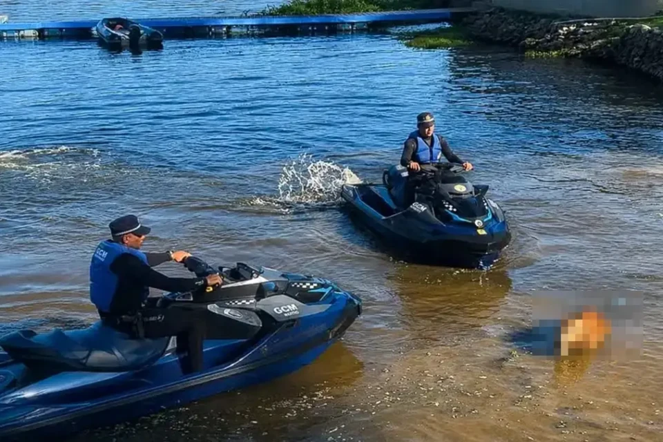 Capivara é morta com flechada na represa de Guarapiranga em SP