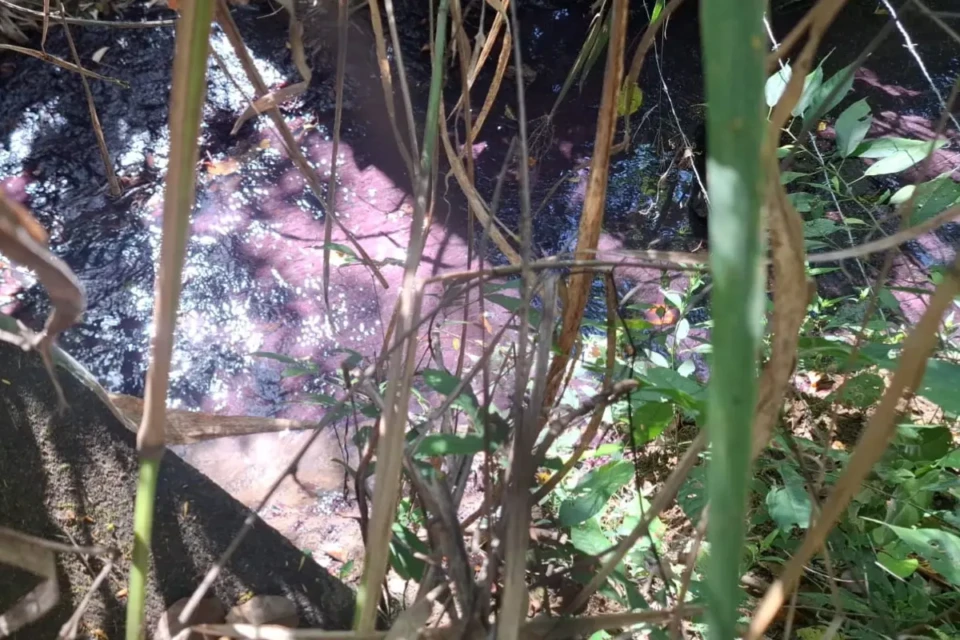 capa x rio x mancha rosa