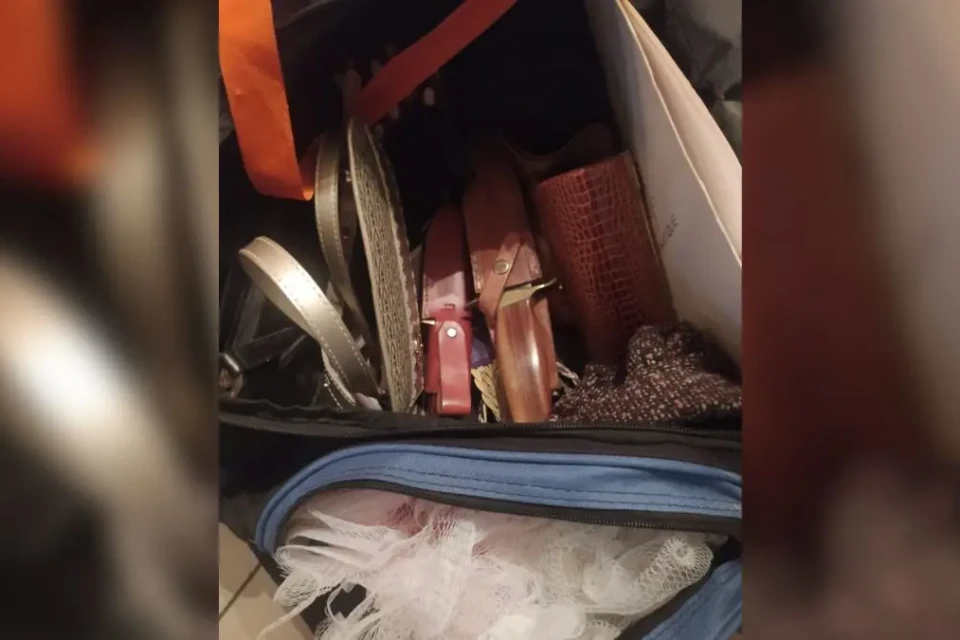 Suspeita de matar o jornalista Delson Carlos, em Goiânia, levou facas na bolsa quando fez visita no dia do crime (Foto: Arquivo pessoal)