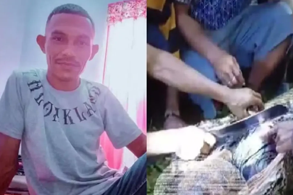 Cenas fortes: Corpo de homem é encontrado dentro de píton gigante na Indonésia; vídeo Réptil de 7 metros atacou Hasim Lumbessy