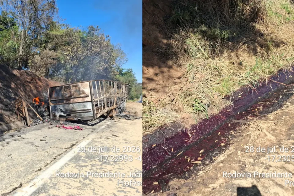 Mancha rosa no córrego em Professor Jamil com peixes mortos