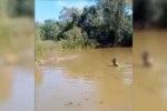 Familiares nadam em rios e lagos em busca do ilustrador Jefferson Oliveira, que desapareceu após bater o carro em Aparecida de Goiânia (Foto: Reprodução TV Anhanguera)