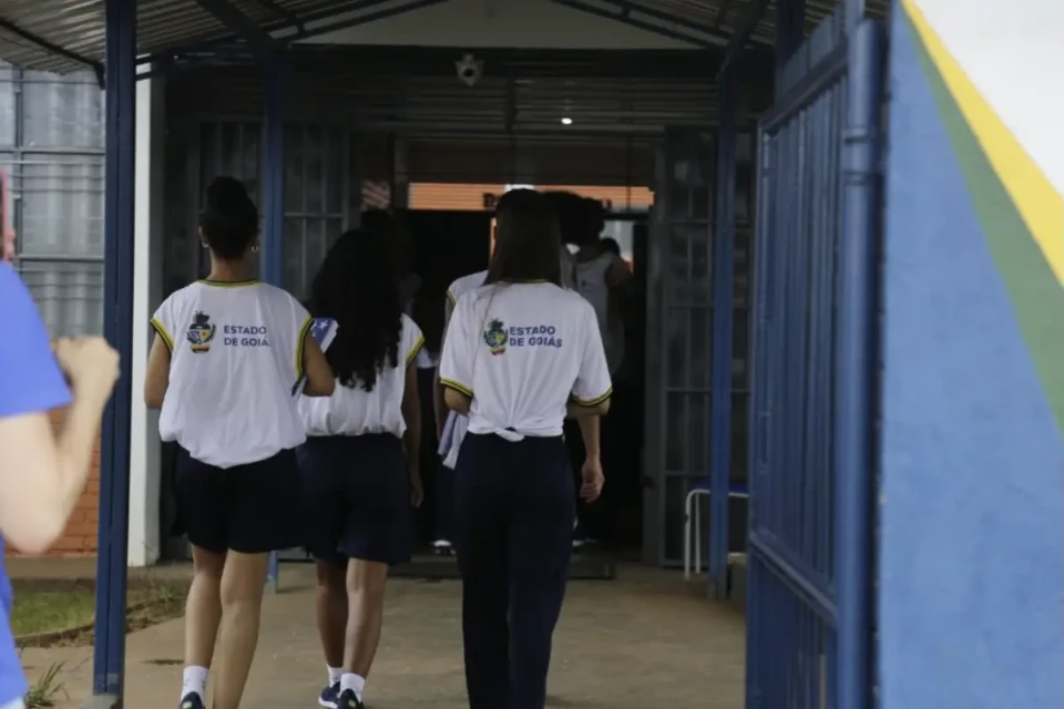 alunos x rede estadual