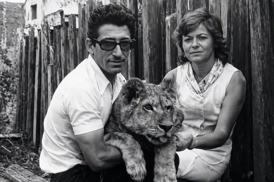 Edir Maria Mendonça Melo e o marido, Homem de Melo, aparecem com um dos grandes felinos criados pela família. Crédito: Acervo da família de Homem de Melo. Credito: Acervo Pessoal