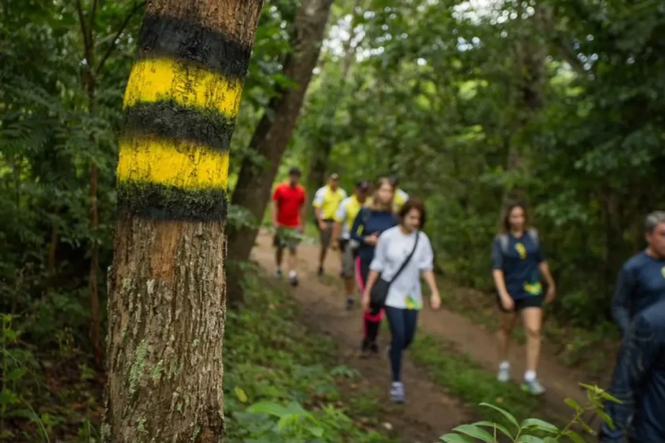 Trilha de Goiás é uma das mais cênicas do Brasil; conheça Caminho dos Veadeiros ganhou destaque nacional do Ministério do Turismo