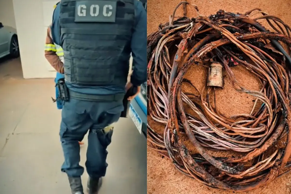 Homem é preso após furtar de fios do Castra Pet e deixar população sem atendimento em Rio Verde (Foto: GCM Rio Verde)