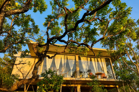 B. House, em Alto Paraíso de Goiás, aposta em arquitetura integrada à vegetação, com fachada de vidro e ambientes voltados para a paisagem da Chapada dos Veadeiros. (Foto: Divulgação/Airbnb)