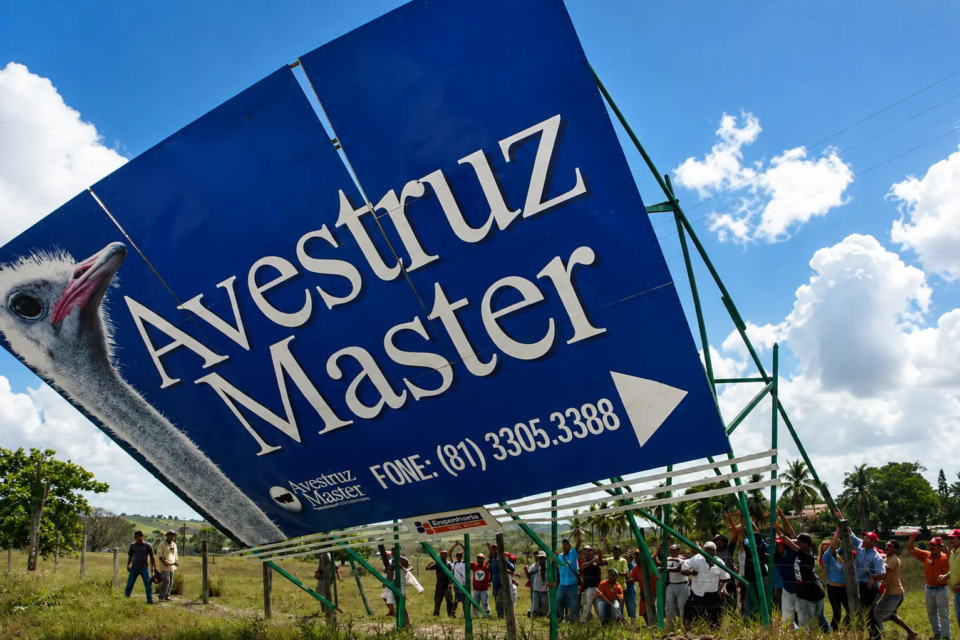 COutdoor da Avestruz Master é retirado após o colapso da empresa, que encerrou as atividades em 2005 depois de atrair mais de 40 mil investidores no Brasil e no exterior. A publicidade foi uma das estratégias utilizadas para ampliar a presença da marca durante a expansão do negócio. (Foto: Acervo/MPF)