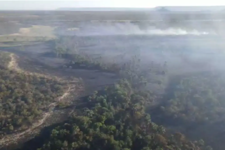 Operação Abafa: estado vai atrás de quem provoca queimadas no nordeste de Goiás (Foto: Reprodução)