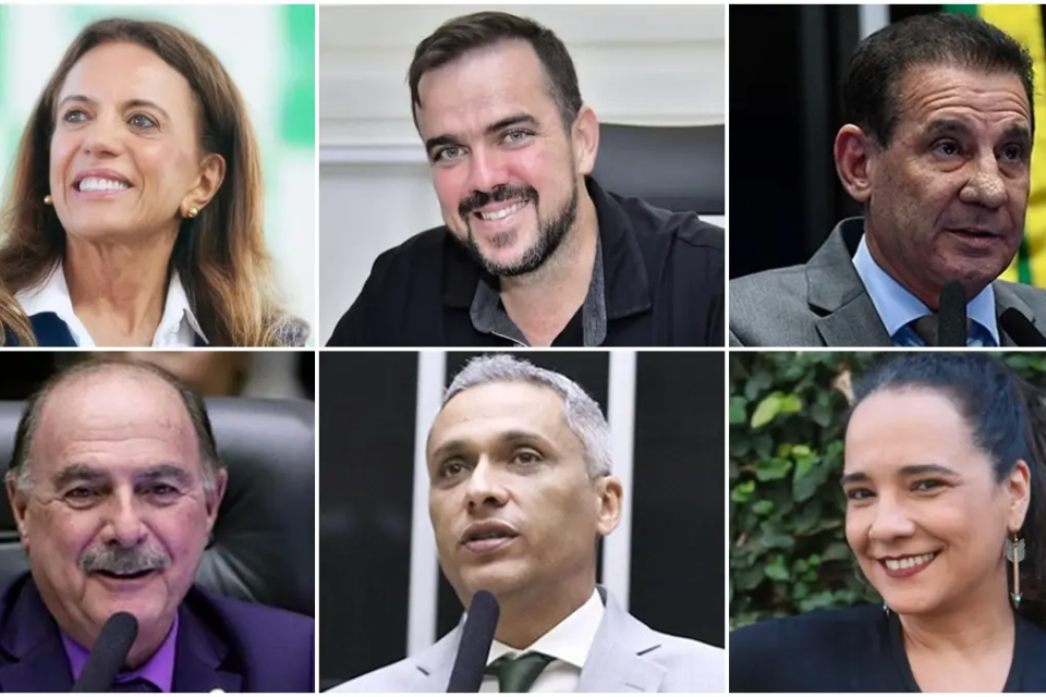 De R$ 398 mil a R$ 66,8 milhões: saiba quanto declararam os candidatos ao Senado por Goiás