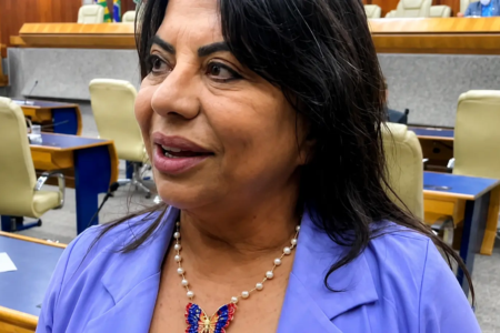 Maria Machadão afirma que mudanças na economia e no poder de compra do consumidor atingiram o movimento da noite de Goiânia. (Foto: Câmara Municipal de Goiânia