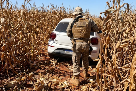Aprensão de drogas feita por militares do COD em plantação no interior de Goiás (Foto: PMGO)