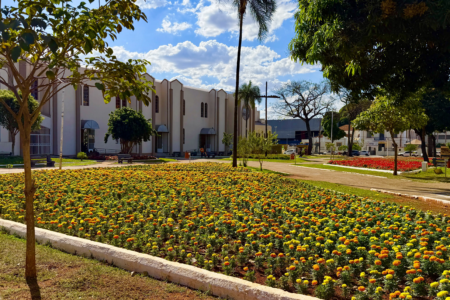 Flores Goiânia Matriz de Campinas