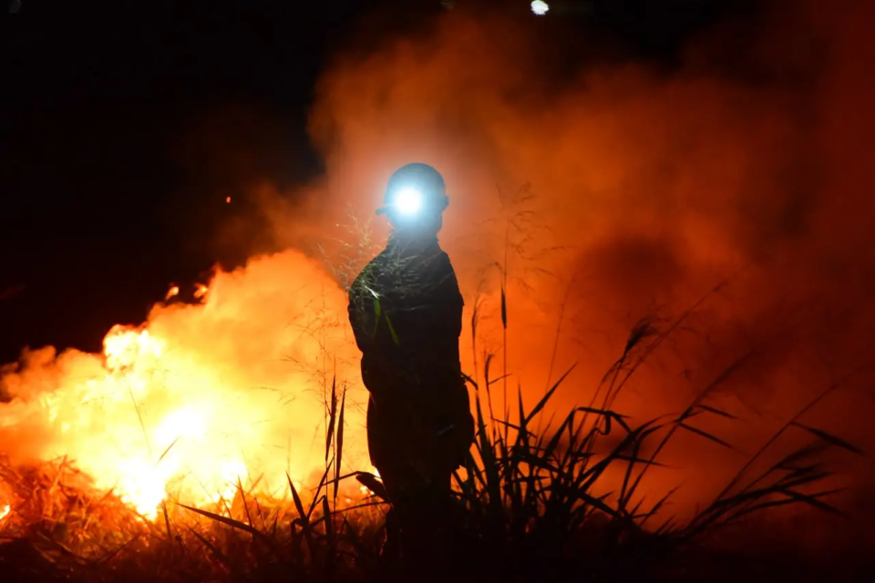 Bombeiro durante combate a incêndio florestal em Goiás (Foto: Jucimar de Sousa/Mais Goiás)
