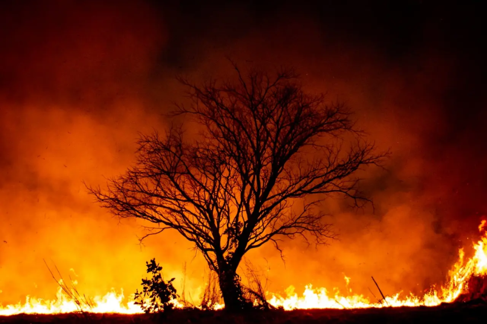 Cenário de cerrado consumido por queimada florestal em Goiás (Foto ilustrativa: Jucimar de Sousa)