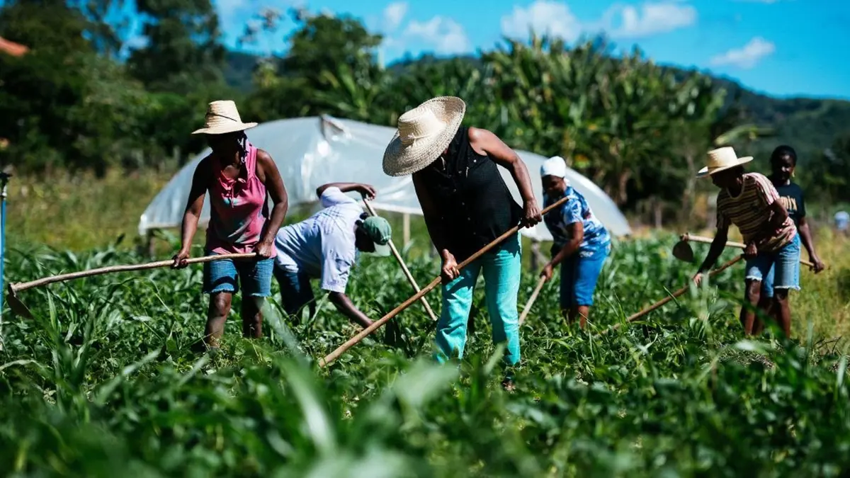 agricultura familiar