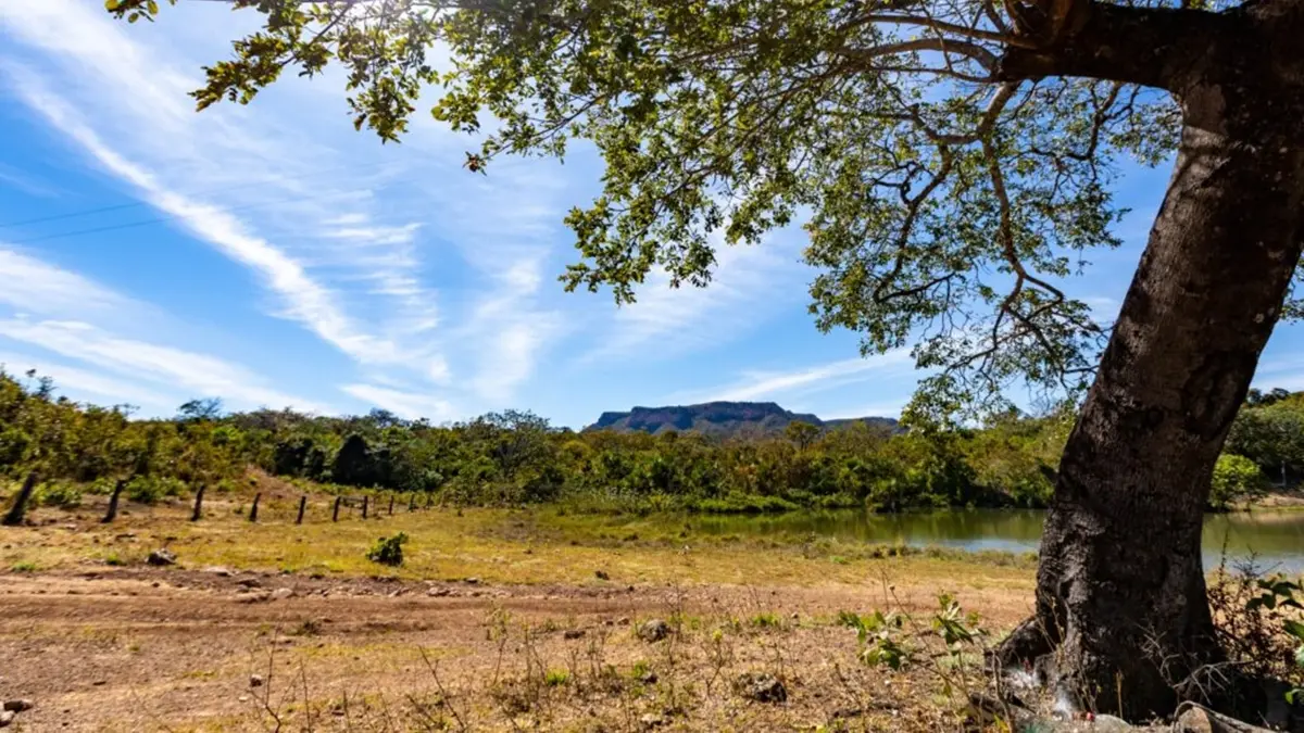 cerrado