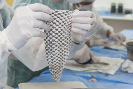 Brasil terá primeira fábrica do mundo de pele de tilápia para tratar queimaduras; entenda tecnologia receberá investimento de R$ 52 milhões