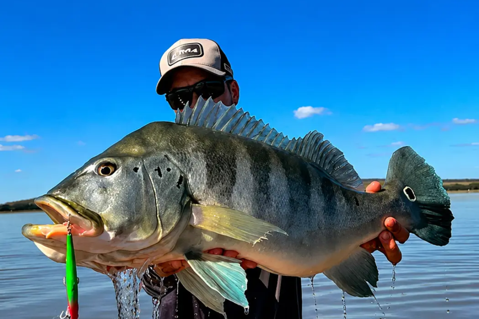 Pescador exibe exemplar de tucunaré-azul durante pesca esportiva (Foto: Reprodução/YouTube)