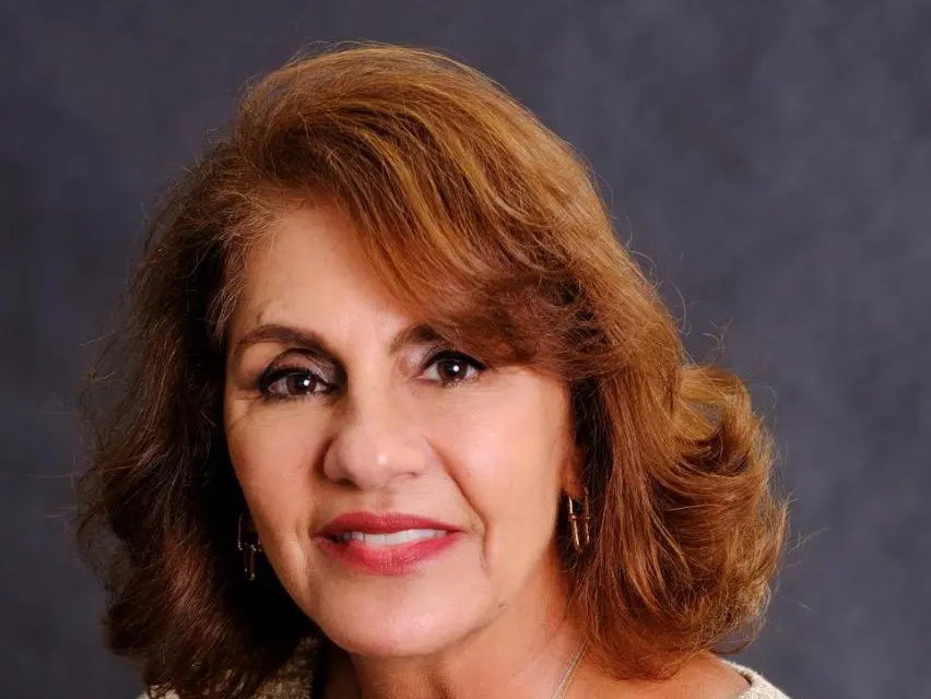 Arquiteta Urbanista Regina de Faria Brito. Conselheira Federal Suplente do CAU/BR.