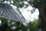 chuva