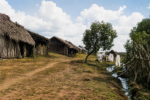 Primeiros anos de Goiânia, com ranchos de operários às margens do Córrego Botafogo, ainda sem canalização e cercado por vegetação (Foto: Reprodução/@goiastemhistoria)
