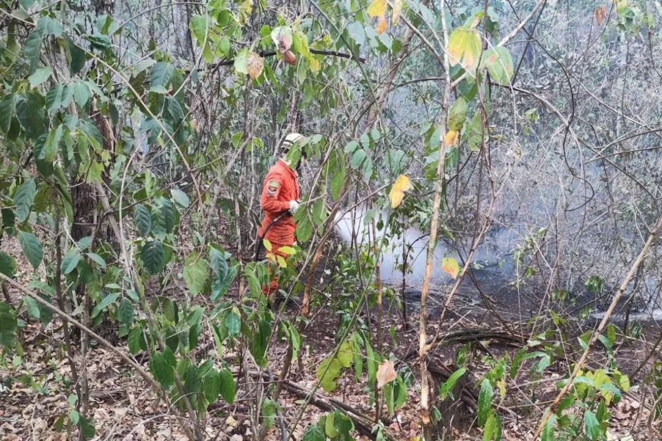 Bombeiro combate incêndio em fazenda de Caldas Novas (Foto: Corpo de Bombeiros)