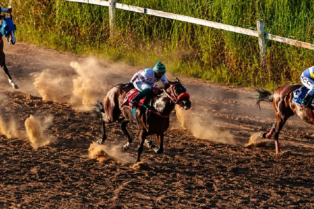 Hipódromo da Lagoinha doações