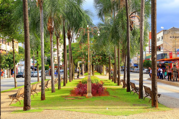 Avenida Goiás_Jackson Rodrigues