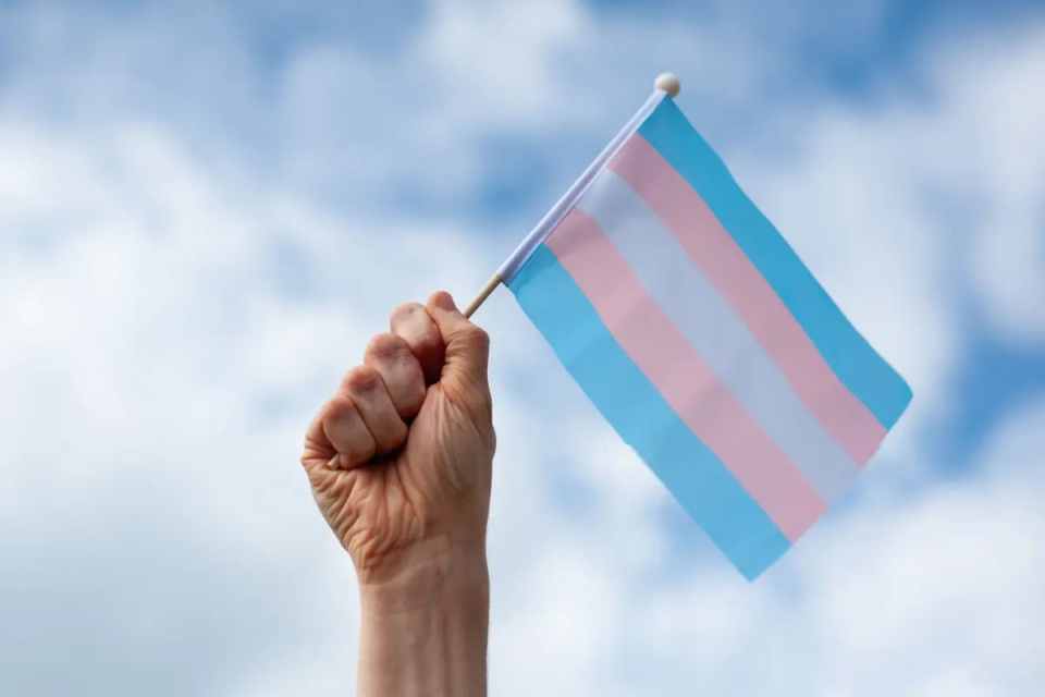 bandeira x trans