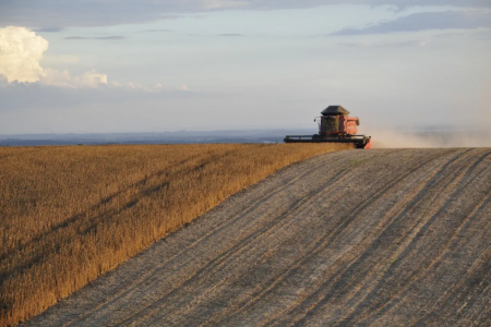 máquina agrícola trabalha em plantação