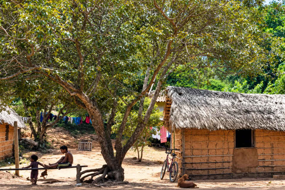 Comunidade quilombola reúne casas tradicionais de barro e palha em área rural de Goiás (Foto: Reprodução/Ministério Público Federal)