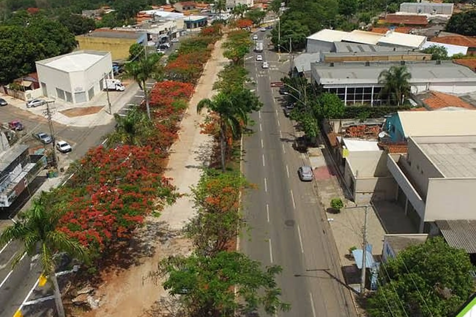Avenida em Goiânia com arborização no canteiro central e ocupação urbana ao longo do trecho (Foto: Prefeitura de Goiânia)