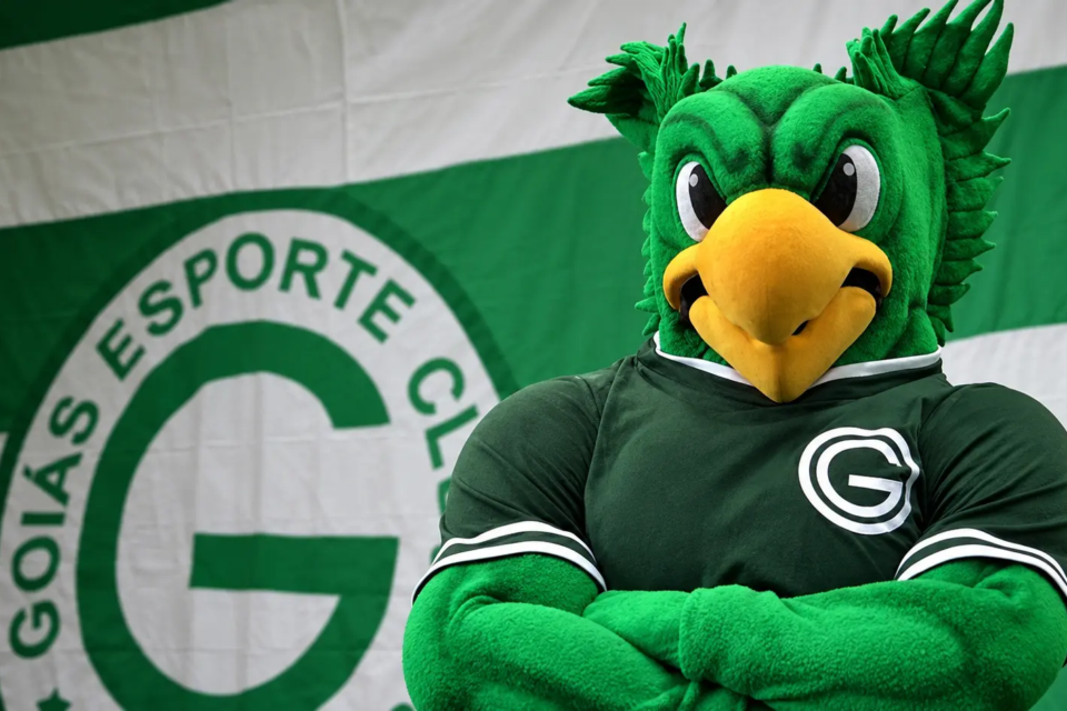 Periquito é o mascote do Goiás Esporte Clube e acompanha o time em jogos e ações com os torcedores (Foto: Divulgação/Goiás EC)