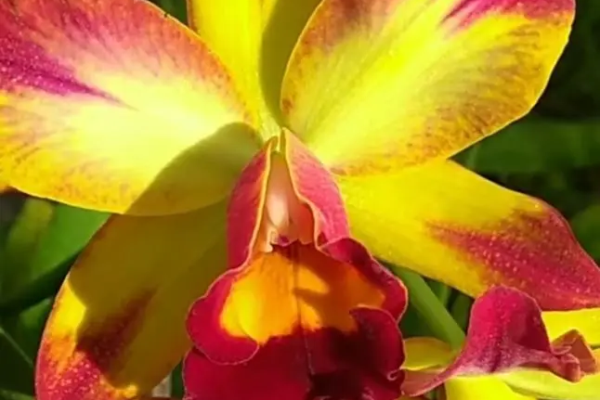 WhatsApp Image 2026-09-03 at 08.26.01